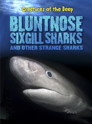 Bluntnose Sixgill Sharks and Other Strange Sharks (Creatures of the Deep)