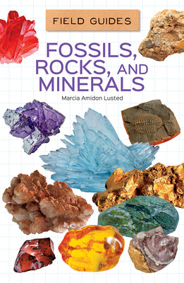 Fossils, Rocks, and Minerals (Field Guides Set 2)