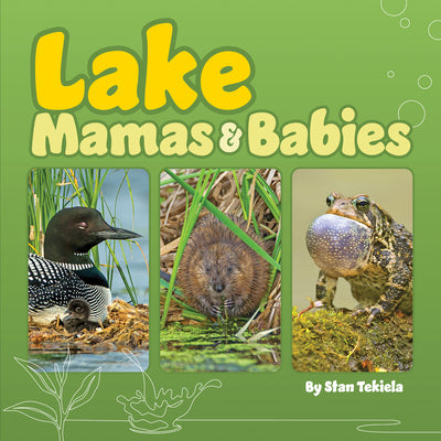 Lake Mamas & Babies (Mamas and Babies)