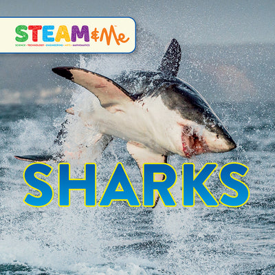 Sharks (STEAM & Me)